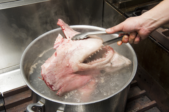 食材狩人2 11 スープも具もまるごと鮫 驚きの鮫ラーメン誕生 80c