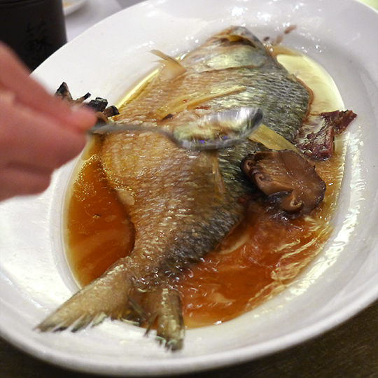 清蒸鲥魚
