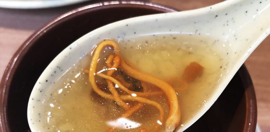 「日本沙県食坊 御徒町店」の冬虫夏草の花と鴨肉の蒸しスープ