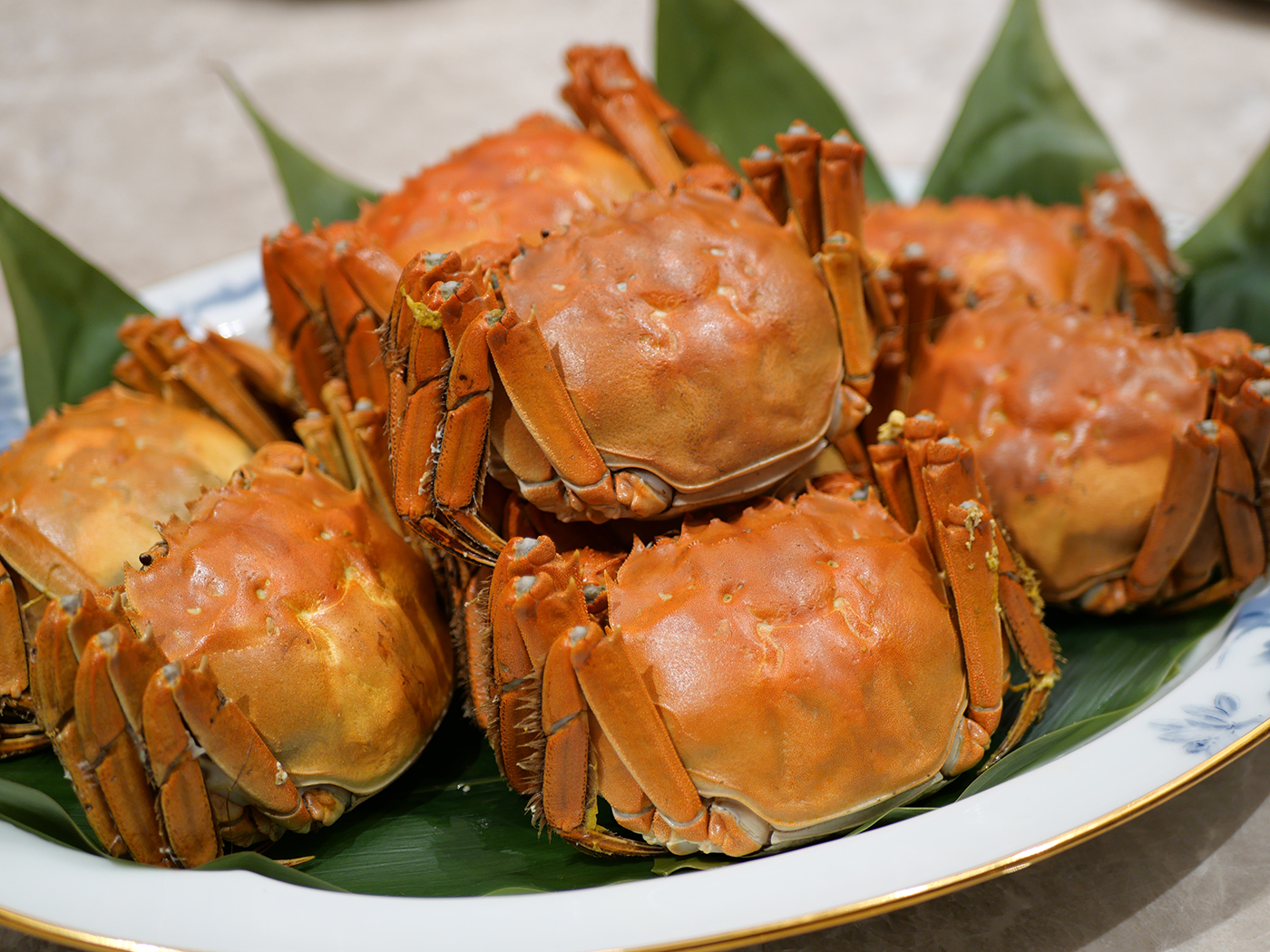 上海蟹料理の種類は目下日本髄一！東京・日本橋「蟹王府」でラグジュアリーに上海蟹を味わう  80C